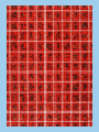 chen linggang no 37